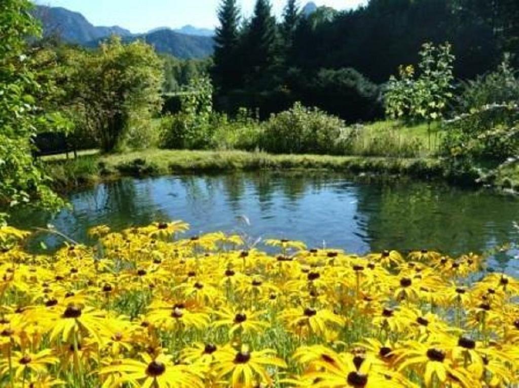 Ferienwohnungen Quellenhof Bad Reichenhall Buitenkant foto